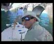 Bridge Tarpon Fishing