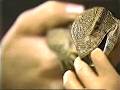 Rescue 911 - Episode 710 - Lizard attack