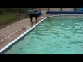 videos de Pool Play