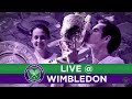 Birds invade Court No. 3 - Wimbledon 2014