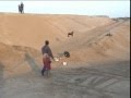 videos de Baja quälen...