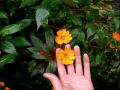 Natures Nurture.wmv