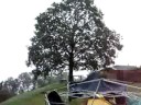 festa trentenni Brissago