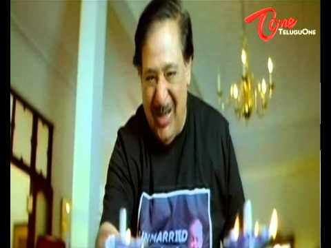 Shankam-Gopichand, Trisha, Chandramohan, Srinivas Reddy, Kota srinivas Rao, JayaprakashReddy, Venumadhav, Ali, Ganesh, Ramba, Chiranjeevi, RajendraPrasad, Brahmanandam, Dasari NarayanaRao, BabuMohan, bigboss, Mugguru Monagallu, RB Chowdary