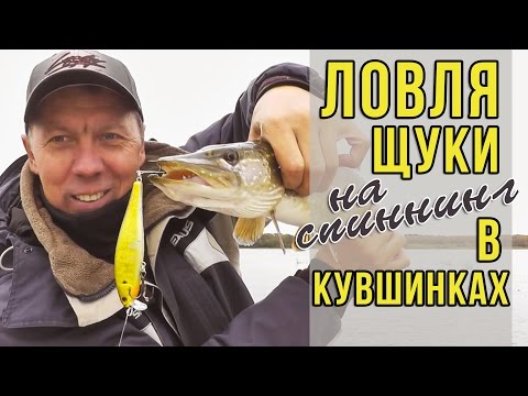 видео ловля щуки в кувшинках видео видео ловля щуки в кувшинках видео