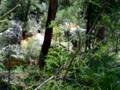Buck's Outdoors Episode 1 : Newnes