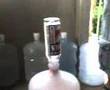 Suco gamy