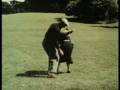 videos de Un uomo tranquillo (The Quiet Man) 1*