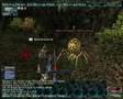 Paladin/Ninja Spider bully