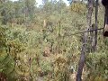 GDLIME Tapalpa 25