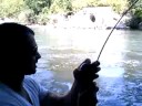 Kiddie Pole Carp Fishing