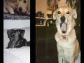 Sheera- 1/1/92-11/21/07
