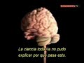mentes-brillantes-sindrome-de-savant-superdotados-3.html