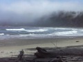 Olympic National Park Washington Beach Hike Day Four