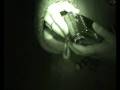 videos de Minmi Investigation Blog part 3