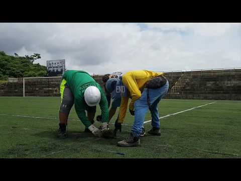 Cambian césped del estadio nacional de fútbol de Nicaragua