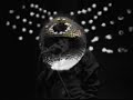 DaniloNazareth \" Dan McCafferty \" Starry Eyes