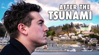 What happened in Japan after the Tsunami