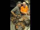 Legendary Barbecue