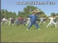 hunyuan taijiquan 24 forms by group