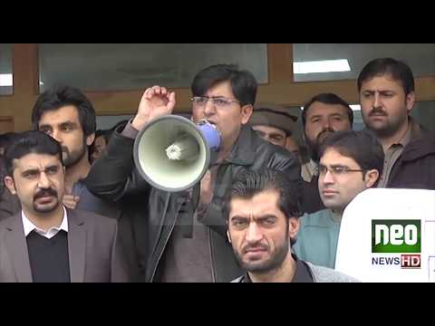 HMC Doctors Protest