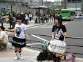 More Akihabara Idols