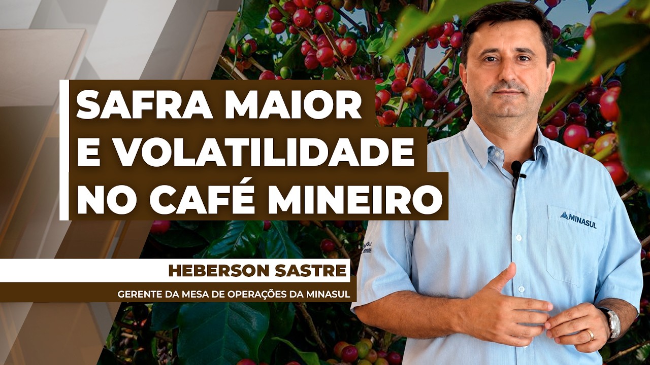 Preços baixos do cacau exigem que produtores busquem novas formas de comercialização
