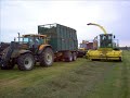 harvesting silage