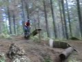 Big Mumma Crash Big Mumma Crash