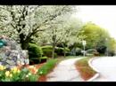 Scenic Places in US: Waltham,MA & Canton,MA