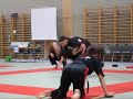 swiss bujutsu  raw 
