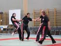 Swiss Bujutsu [RAW]