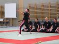swiss bujutsu  raw 