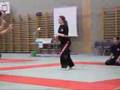 Swiss Bujutsu [RAW]