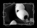 Thumbnail #1