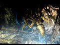 Gears of War(PC): Corpser Speed Kill