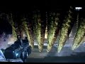 Gears of War(PC): Corpser Speed Kill
