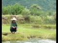 videos de Campagne Chinoise 1st PART