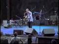 Average White Band at Jazz In The Woods