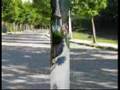 Sandzak-Prijepolje-2