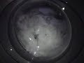 Gorenje prological wa162, cottons 60, final spin PART 1 Gorenje prological wa162, cottons 60, final spin PART 1