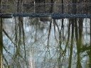 Shot on May 3rd, 2007 in Burlingham NY (Sullivan County)-- this situation had gone on for many years until state officials forced River Edge Mobile Home Park to clean up the sewage mess. Operator: Burlingham Equities (Victoria Pike)