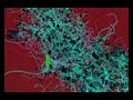 videoCode03:Siembra