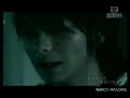 Chow MV
