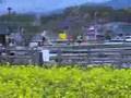 朝倉三連水車#2