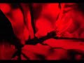 cancion de cuna.

vayan olol vayan,
vayan olol vayan,
ta ma xavil ta avayich,
ta me xavil xchi'uk jo'on.

ta me xa xanav ta te'tik,
j-ilolal balumil,
ta me xa xanav ta te'tik,
chak'evojion xchi'uk kajvaltic.

vayan olol vayna, 
yu'un chmukxa le uvile,
yipal me xa jlak'xin bi,
yipal me xa jlak'xin bi.

... que es espa�ol es:

duerme, ni�o, duerme,
duerme, ni�o, duerme,
volar�s en tu sue�o,
volar�s conmigo.

caminar�s en el monte,
curandero del mundo,
caminar�s en el monte,
para cantar con el se�or.

duerme , ni�o, duerme,
la luna se oculta ya,
y yo arrull�ndote,
y yo arrull�ndote.