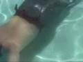 Tails of the Merman Trailer