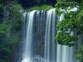 Natureza