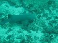 Clean Up - Limpieza Submarina - Aquasub Dive Travel