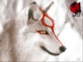okami okami